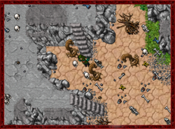 w4.png