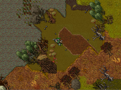 Swamp.png