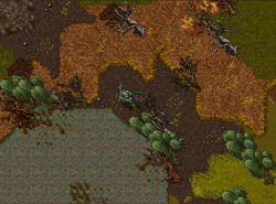 Swamp2.png