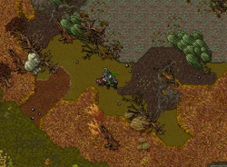 Swamp3.png