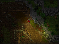 Screenshot_3.png