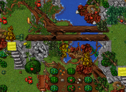 5.png