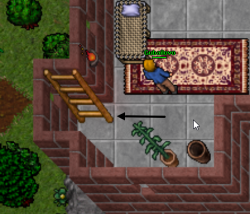6.png 6.png