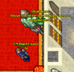 1583534036900.png 1583534036900.png