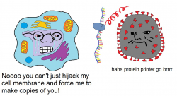 1585737659917.png