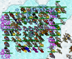 exp bug.png exp bug.png