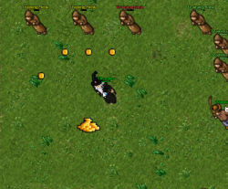 mv6Jj03.gif mv6Jj03.gif