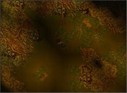 ss3.png