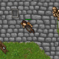 2020-04-17 10_33_44-Tibia - Perflex.png