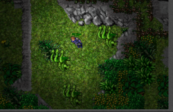 hydra.png