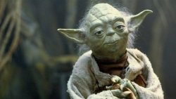 yoda2.jpg