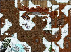 Snow_RookgaardCity.jpg