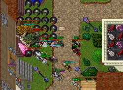 the oracle.png the oracle.png