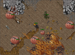 4.png