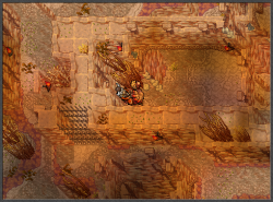 12.png
