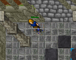 111.png 111.png