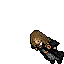 hermiona4.gif hermiona4.gif