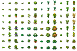 celianna_farmnature_crops_transparent.png