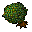 tree5.gif tree5.gif