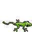 green lizard.gif green lizard.gif