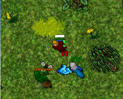 PKzoQ3D.png PKzoQ3D.png