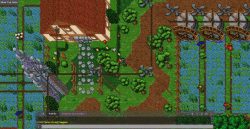test.gif