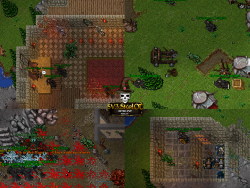 Sem Título-2.png