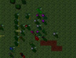 abdteam.jpg abdteam.jpg