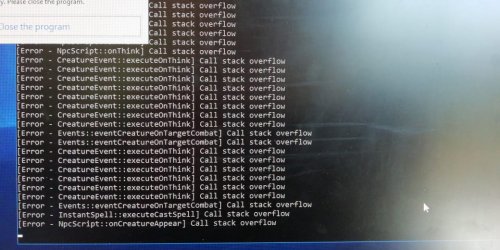 bug.jpeg