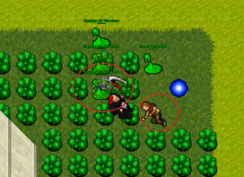 burraserver bug.png