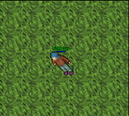 bug.gif