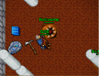 tibia3.png