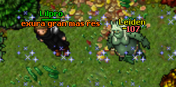 leiden.png