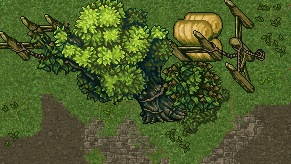 tree and fence.png tree and fence.png