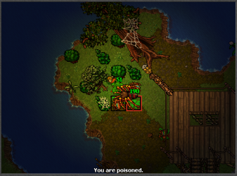 spiderfield1.png