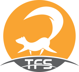 tfs v2.png