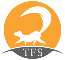 tfs v2.png
