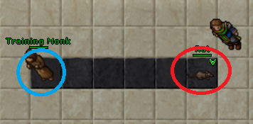 SCRIPT.png