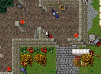 merlin 1.jpg