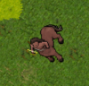 Centaurlol.png
