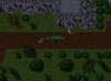 ViridianCity.jpg ViridianCity.jpg