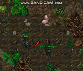 bandicam 2021-06-02 17-15-10-349.gif bandicam 2021-06-02 17-15-10-349.gif