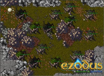 forest 2.jpg forest 2.jpg