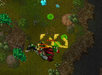 quest6.PNG quest6.PNG