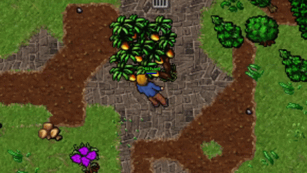 ezgif.com-gif-maker (2).gif ezgif.com-gif-maker (2).gif