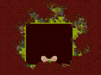 5.png 5.png