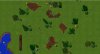 forest 1.jpg