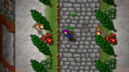 test.gif