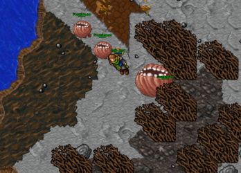 RoshamuulNews.png