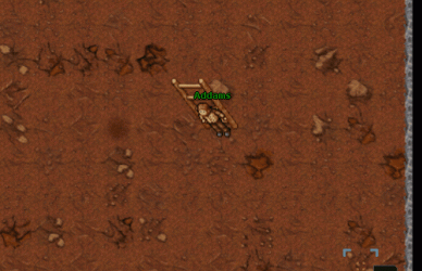 Ladders_Tes.gif